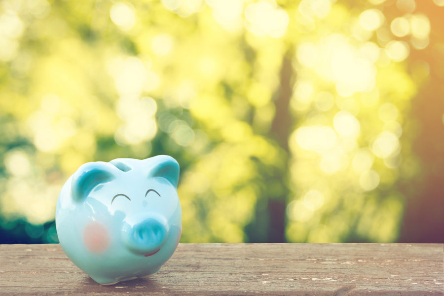 Money Saving Bbq Tips - Blue Piggy Bank On Table